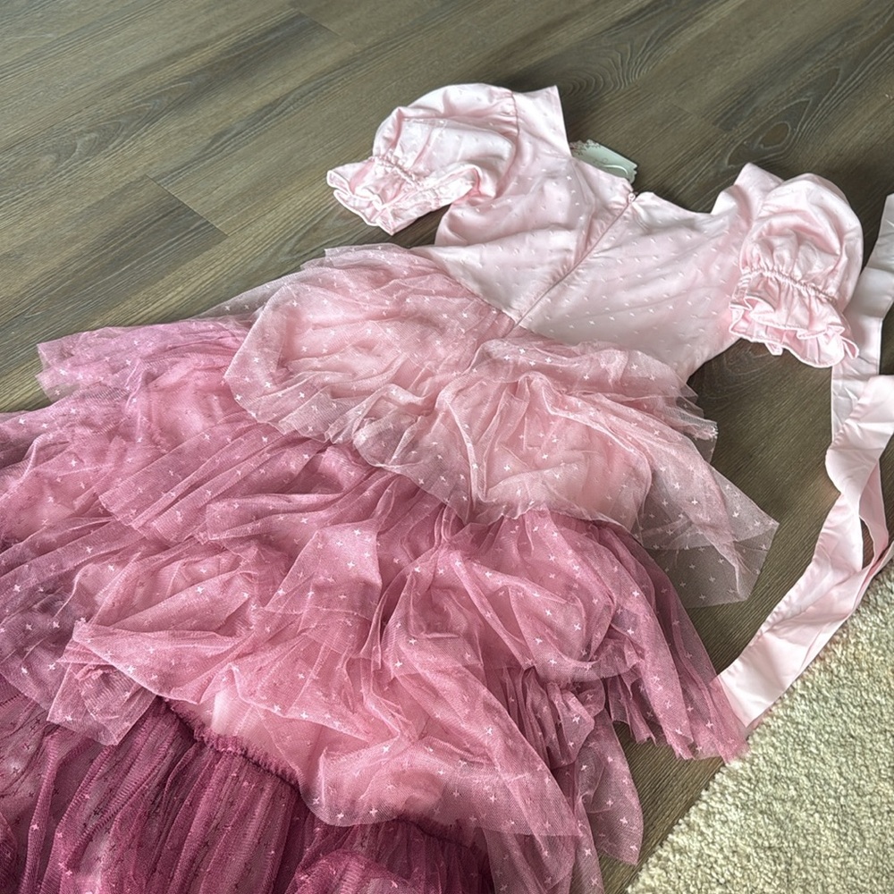 NWT IVY CITY CO WALTZ OF THE FLOWER DRESS - Picture 12 of 13